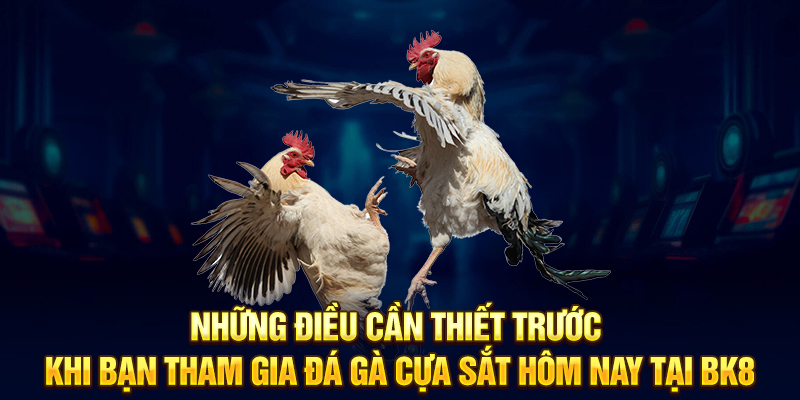 Những điều cần thiết trước khi bạn tham gia đá gà cựa sắt hôm nay tại BK8