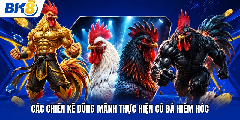 Các chiến kê dũng mãnh thực hiện cú đá hiểm hóc