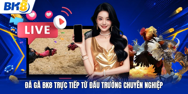 Đá gà BK8 trực tiếp từ đấu trường chuyên nghiệp